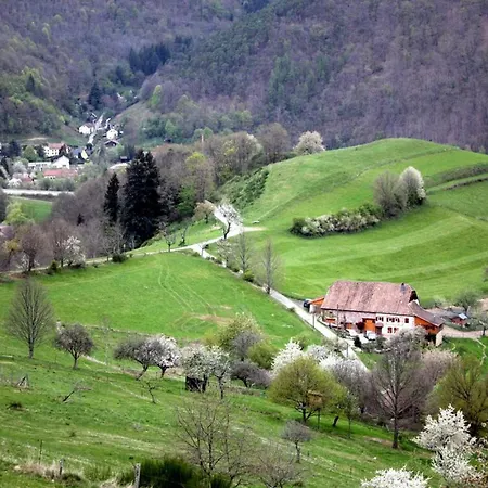 Un Coin De Paradis A Montplaisir Centre Alsace