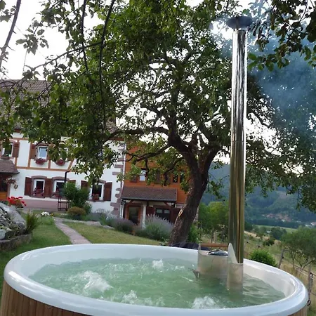 Un Coin De Paradis A Montplaisir Centre Alsace Hébergement de vacances
